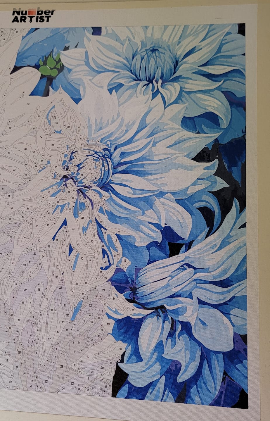 Customer photo review of Azure Chrysanthemums