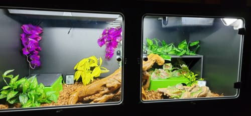 Customer photo review of XT4 BIO24 (48Lx24Dx24H) - STACKABLE