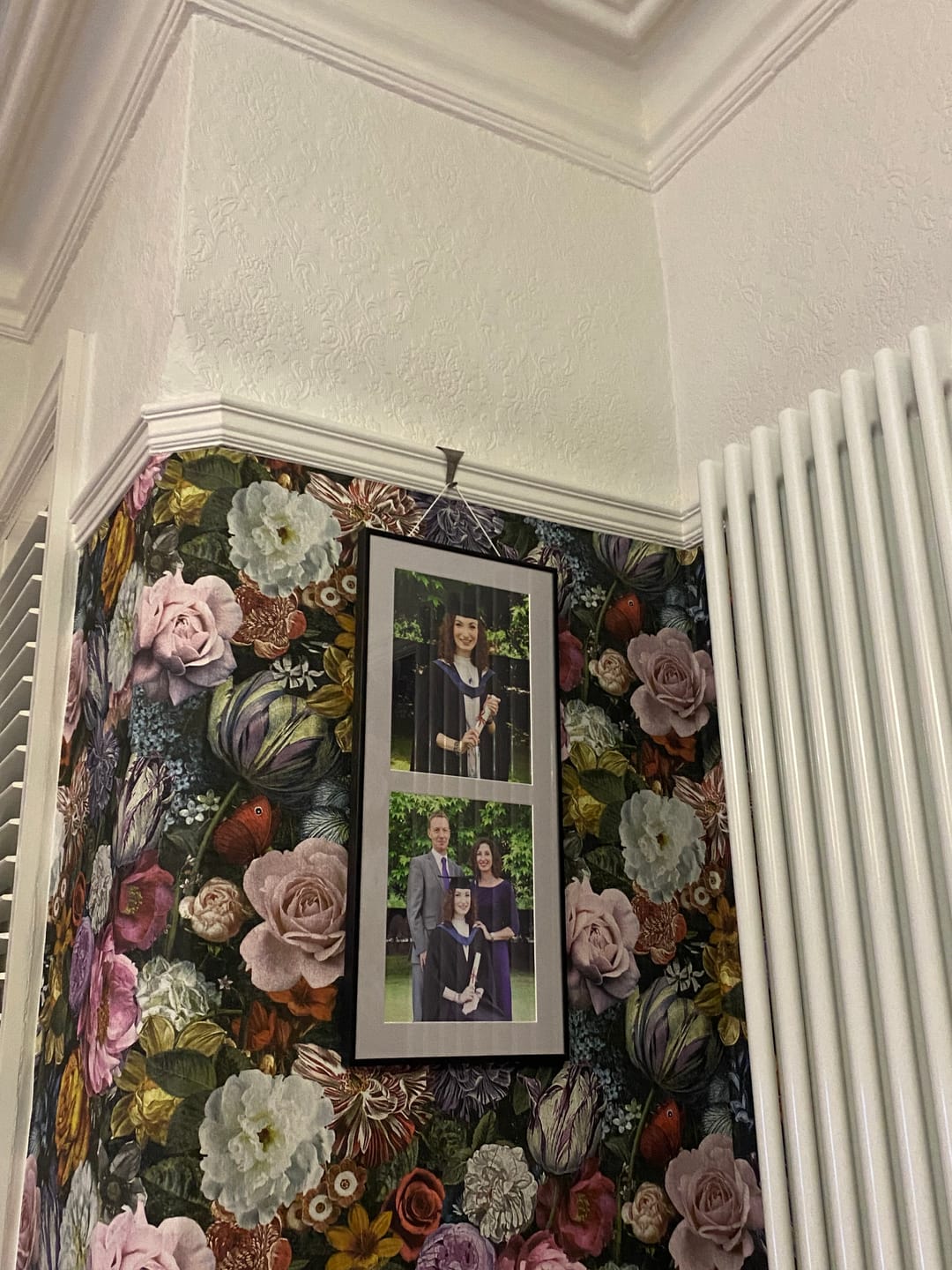 Customer photo review of Victorian Picture Rail Hooks