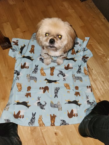 Customer photo review of Down Under Dogs Women’s 3-Pocket Scrub Top