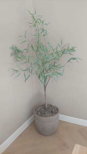 Customer photo review of Eucalyptus Kunstplant 175cm