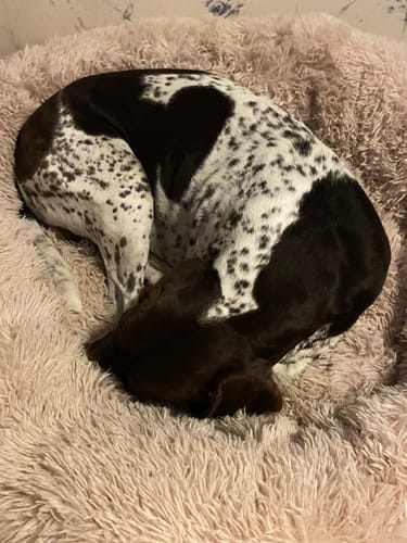 Customer photo review of CalmBed - Motverkar stress & hjälper mot ångest