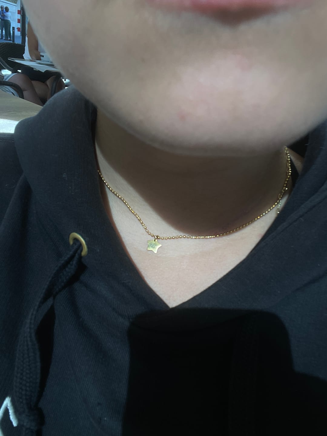 Customer photo review of Collar Five Star ~ Personalizable