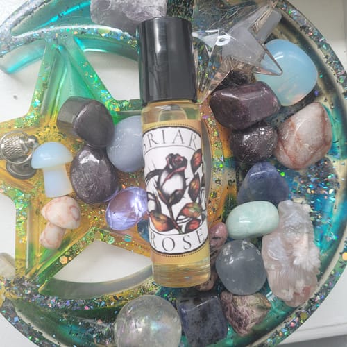 Customer photo review of Chapter 1: Briar Rose