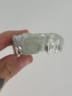 Customer photo review of NOVA (SILVER)