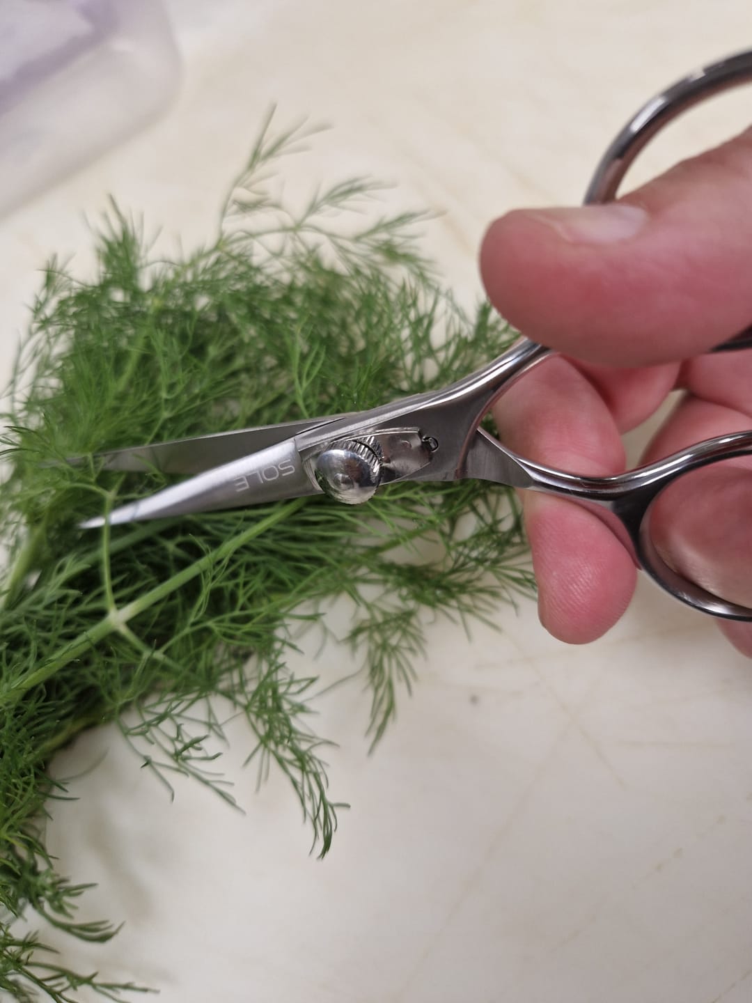 Customer photo review of SuperSharp Kitchen Scissors