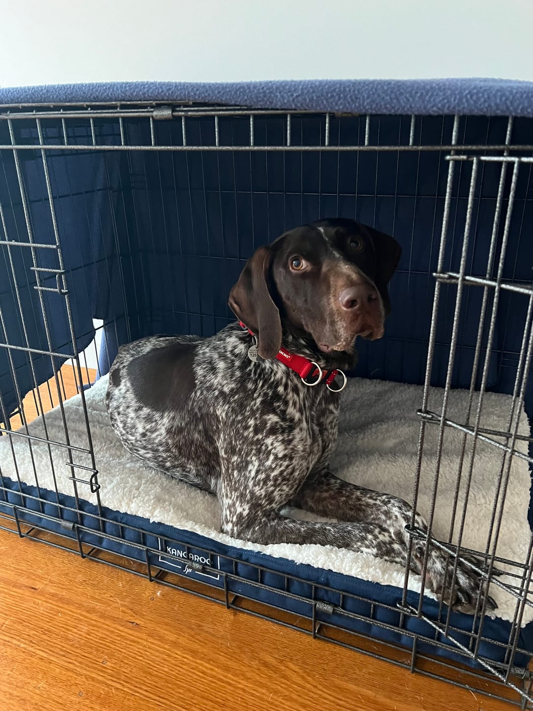 Customer photo review of Winter Cover for Kangaroo Crate Mat