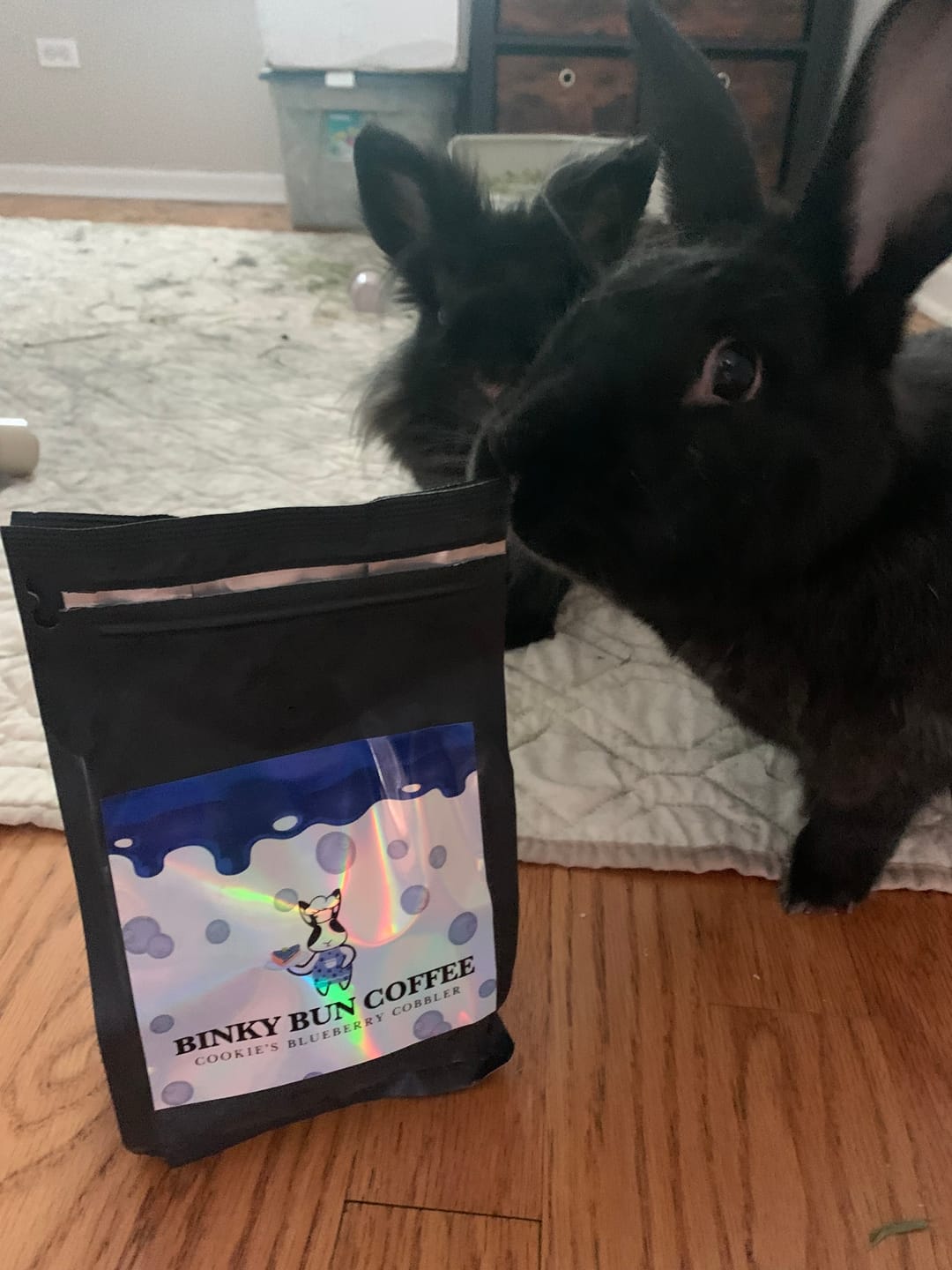 Customer photo review of Blueberry Cobbler (Bean)