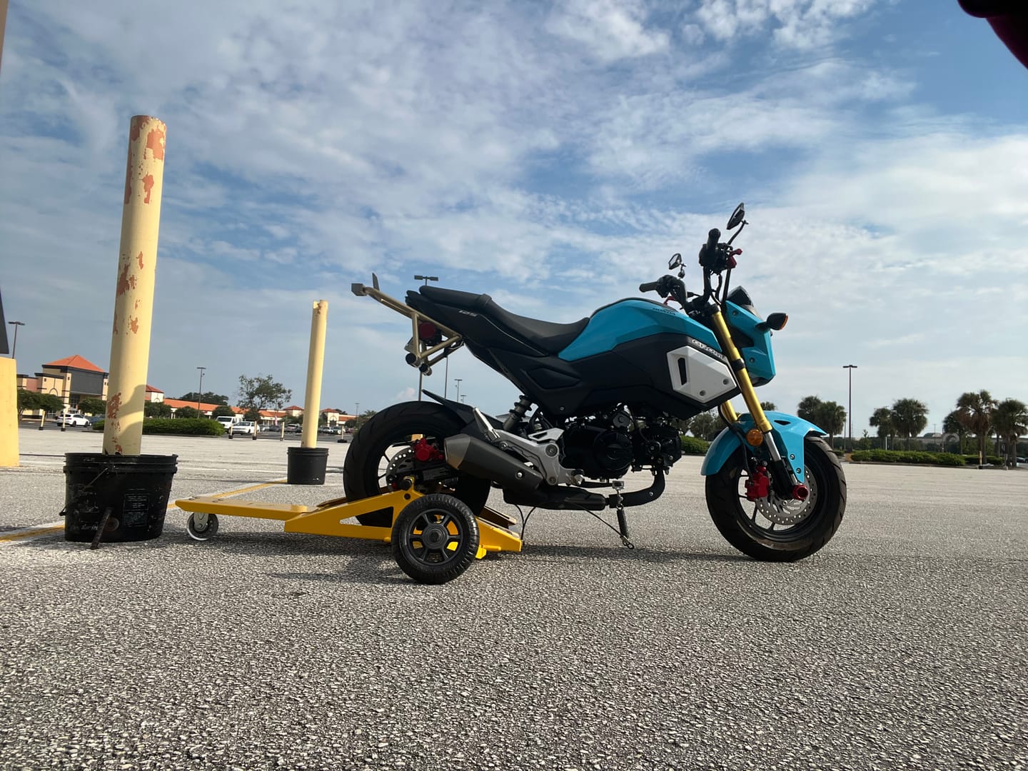 Customer photo review of MSX Wheelie Machine