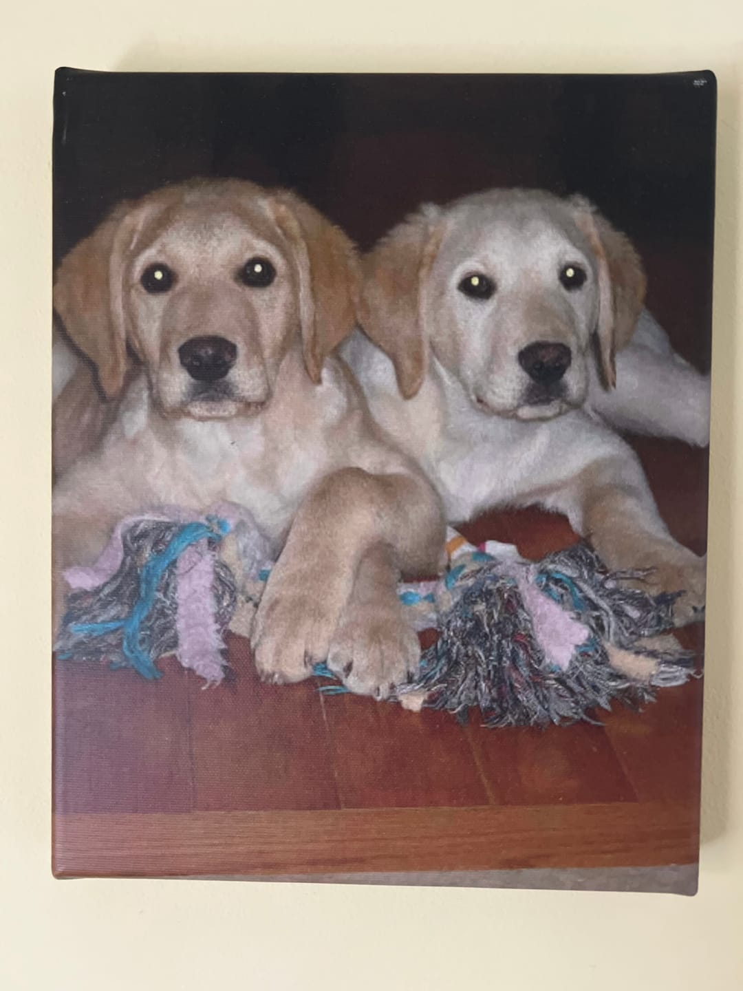 Customer photo review of Custom Canvas