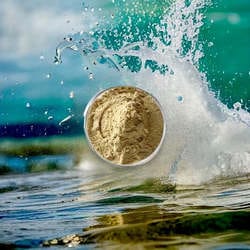 Customer photo review of Natural Grade Bee Venom Powder