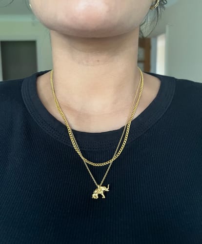 Customer photo review of Elephant Necklace (Gold)
