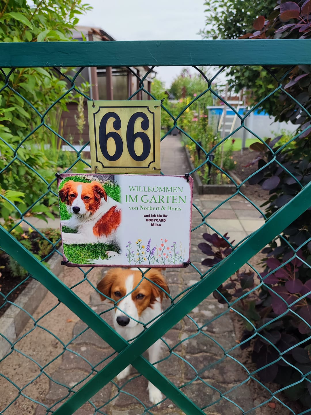 Customer photo review of Hunde Garten-Schild personalisiert mit Foto & Text (UV- und wetterfest)