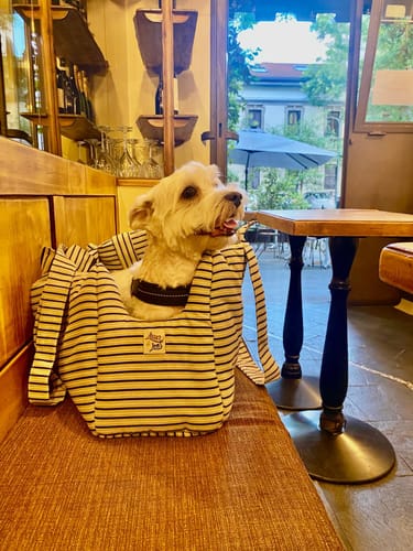 Customer photo review of Trasportino Cotone Urban Little Nautical Stripe