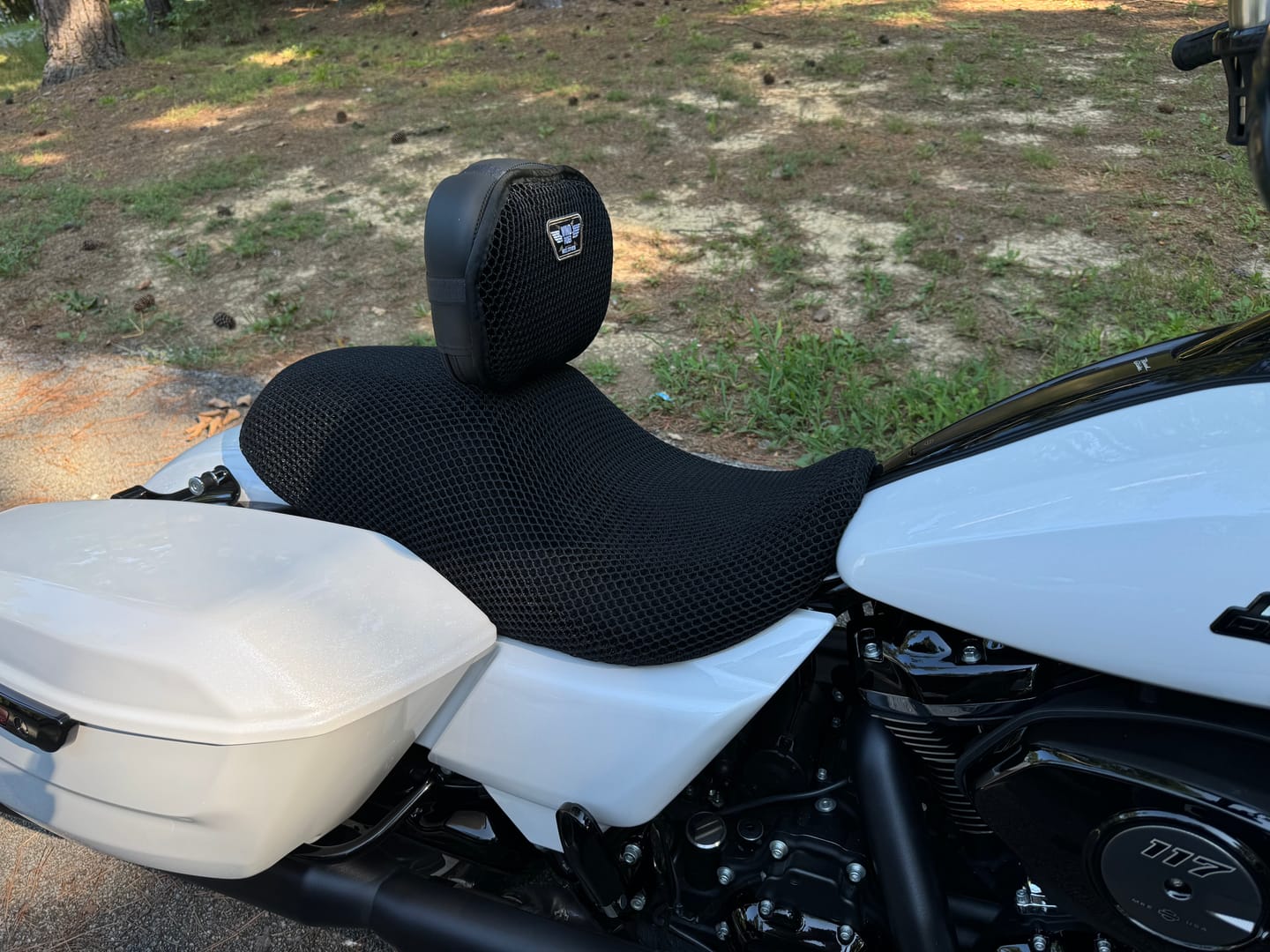 Customer photo review of Backrest Cover