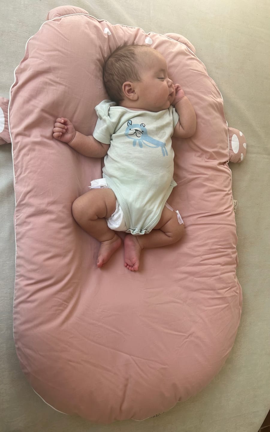 Customer photo review of NIDO PIKABÜ™ 🧸Nido para cuna. Mejora el sueño del bebé desde los 4 meses