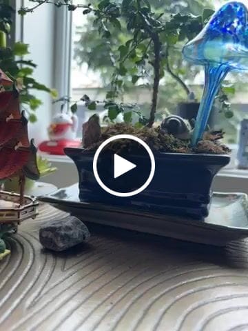 Customer video review of Temple of Joy