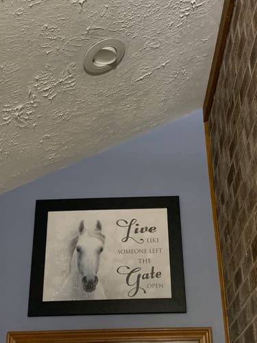 Customer photo review of Live Like Someone Left the Gate Open white horse SSW9819