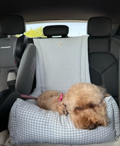 Customer photo review of Seggiolino Auto Cotone Urban Righe Grigio