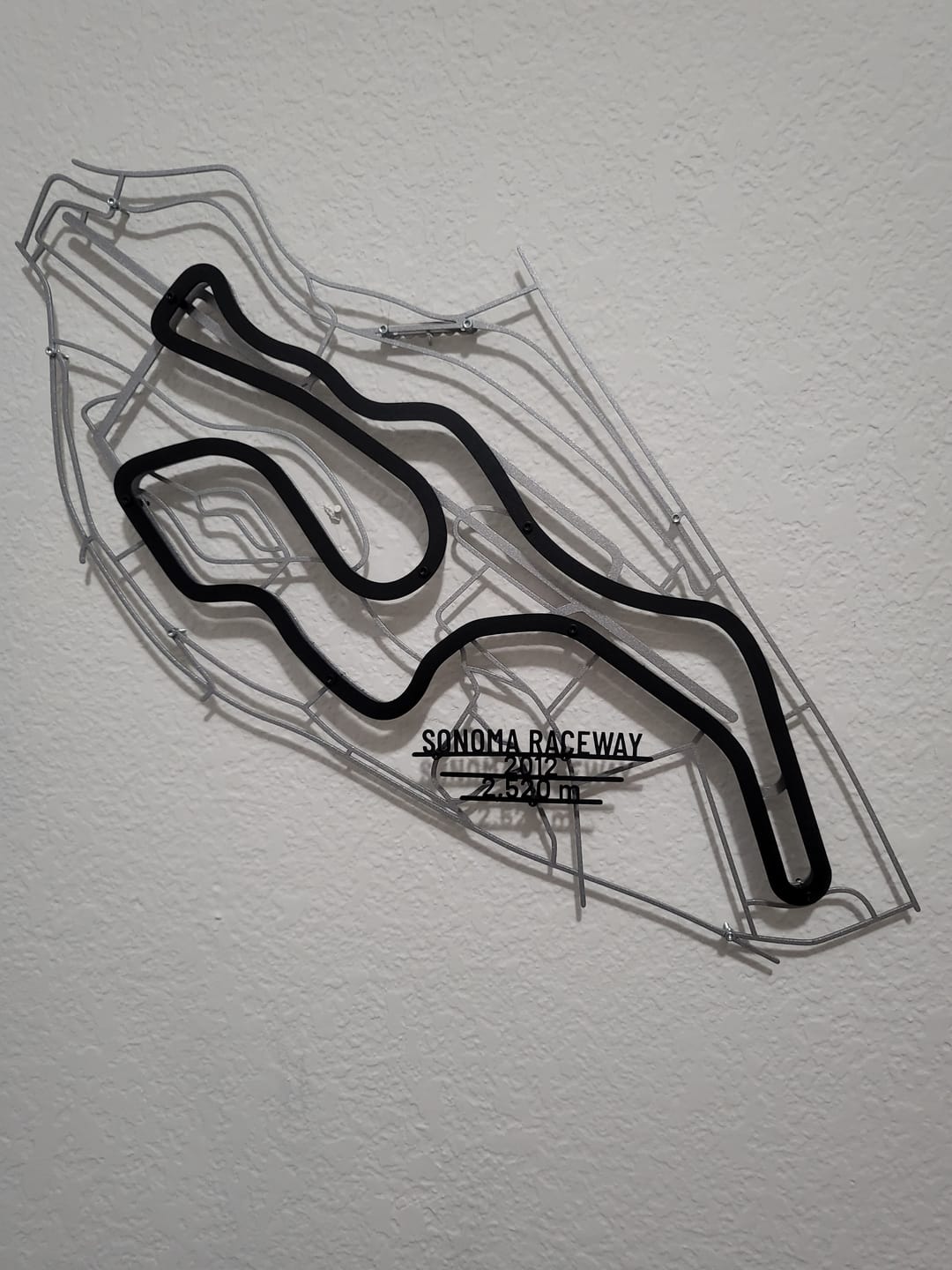 Customer photo review of Your Custom Race Track Metal Wall Art