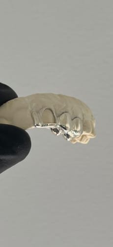 Customer photo review of PRISM (SILVER)