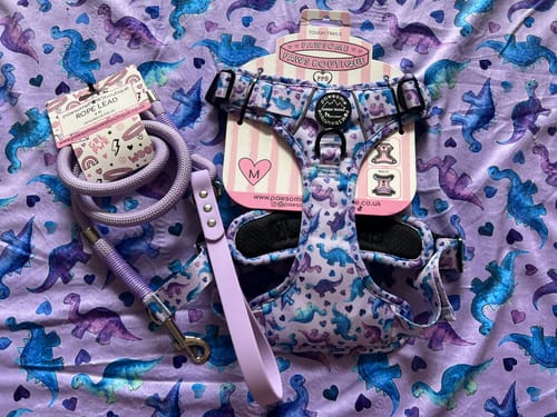 Customer photo review of Dog Blanket - Tiny Diny