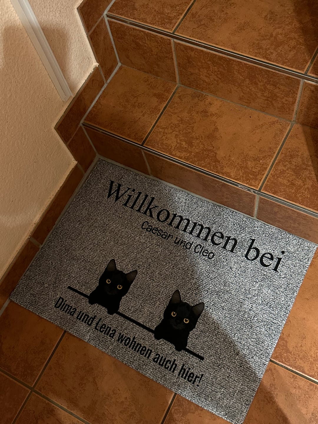 Customer photo review of Alle meine Fellnasen - Individuelle Fußmatte