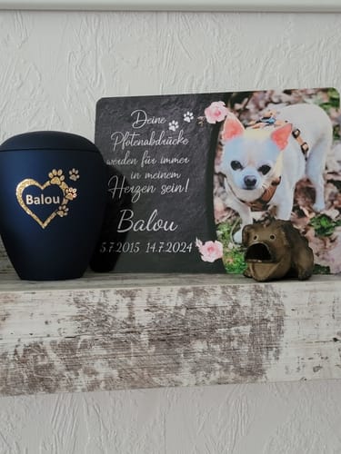 Customer photo review of Hunde Gedenktafel mit Foto & Spruch (UV- & Wetterfest)