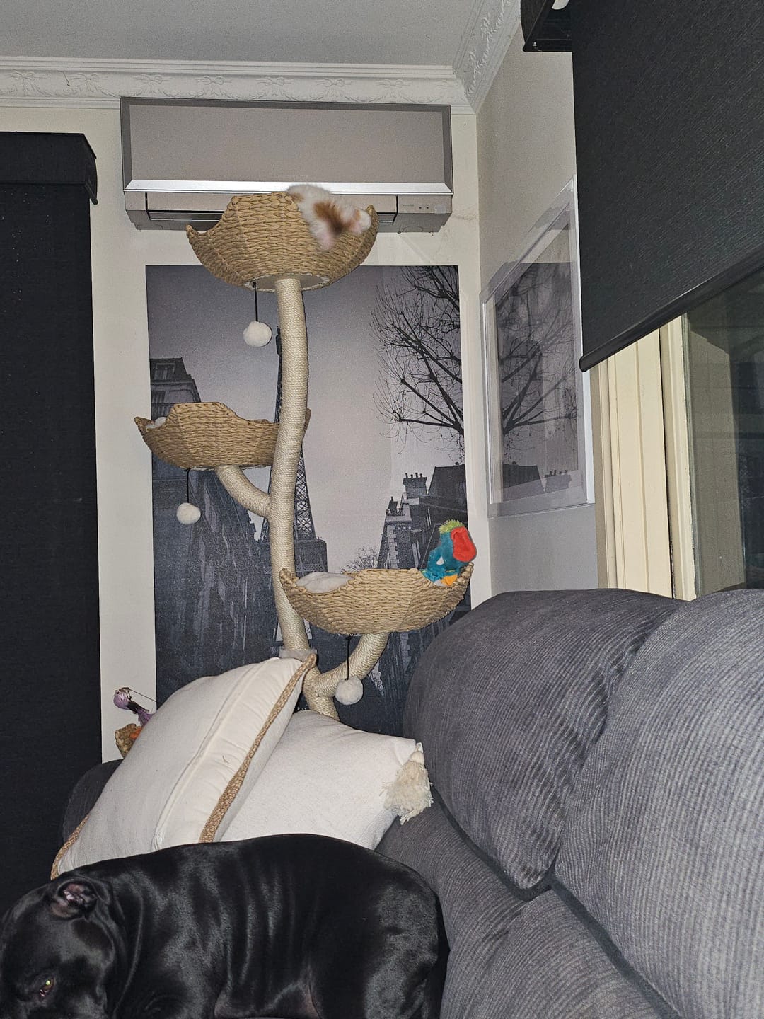 Customer photo review of MICHU Ivy Cat Tower Deluxe 4-Tier Designer Tall Cat Tree