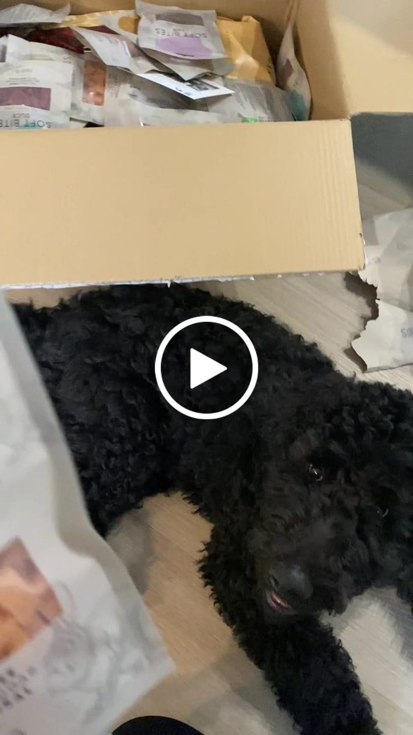 Customer video review of Barkii - Bløde godbidder 12 poser