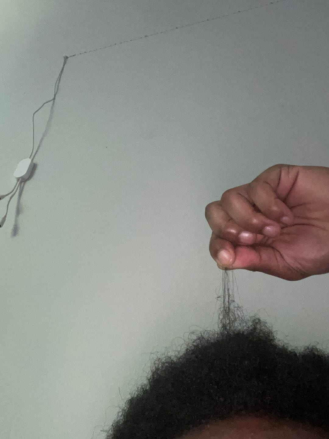Customer photo review of Purple Sea Moss Gel - Nutrient-Dense Vegan Superfood (250ml & 500ml)