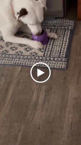 Customer video review of Freezball Bundle 90 Grams Fillers