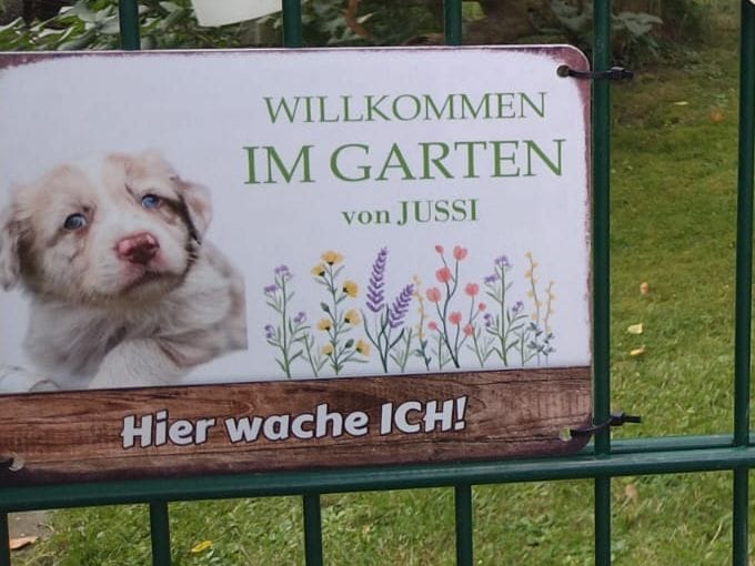 Customer photo review of Hunde Garten-Schild personalisiert mit Foto & Text (UV- und wetterfest)