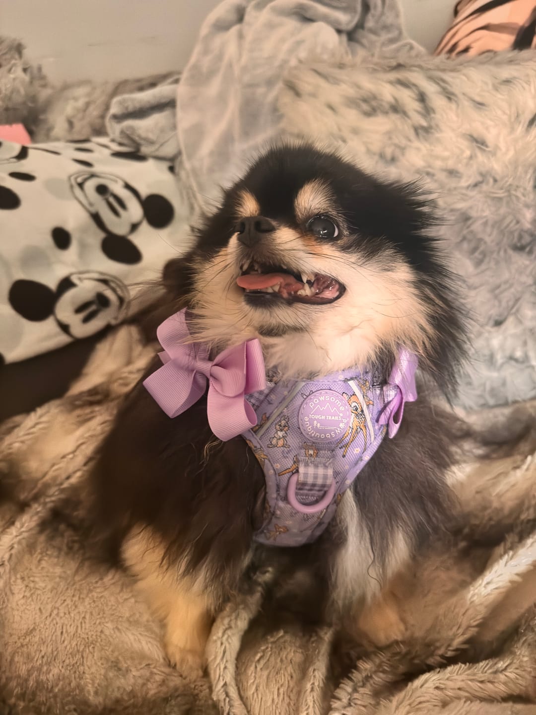 Customer photo review of Disney© Tough Trails™ Harness - Bambi + Friends Lilac