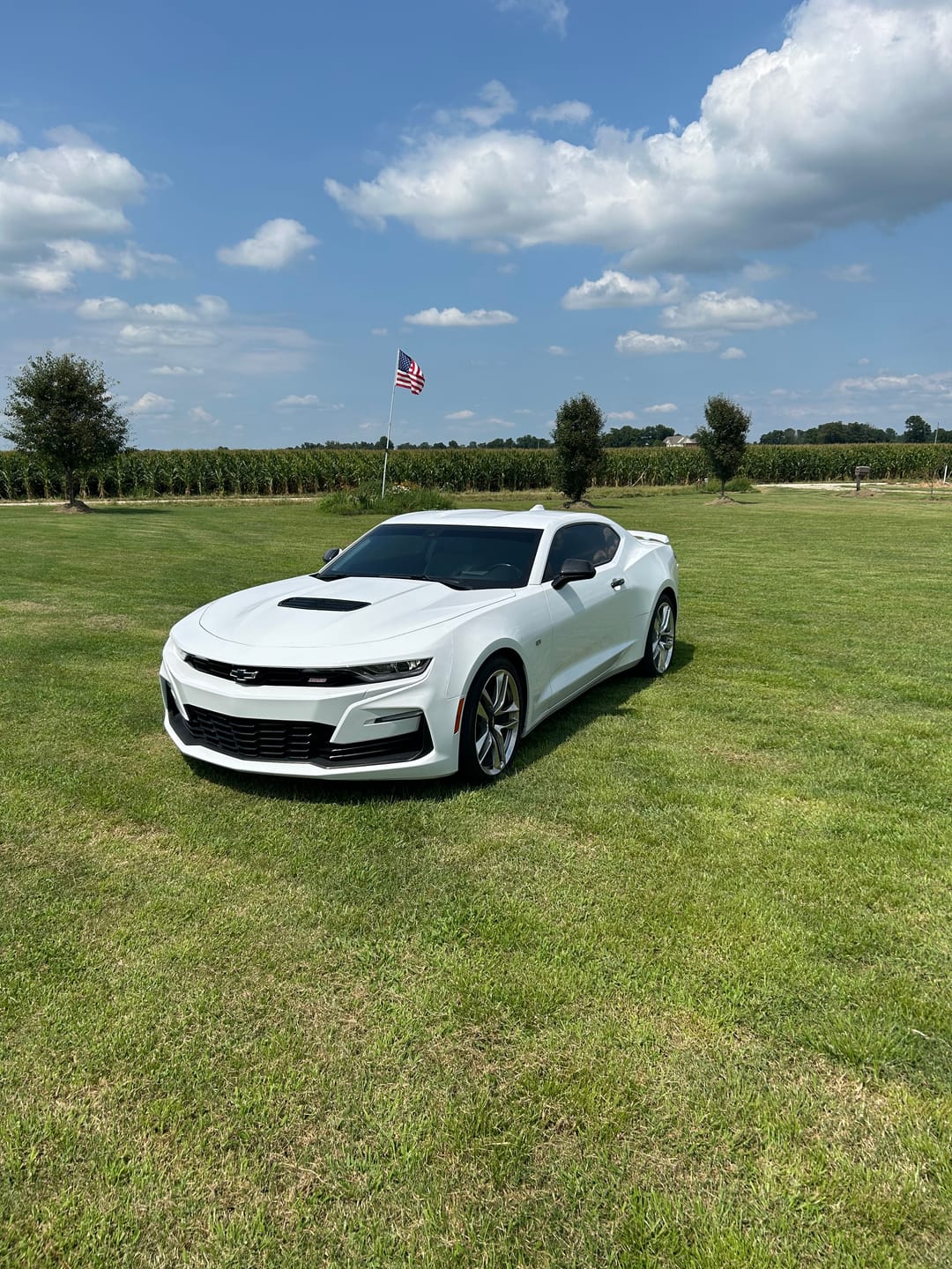 Customer photo review of Camaro 2016-2024 Carbon Fiber Steering Wheel Airbag Center Overlay