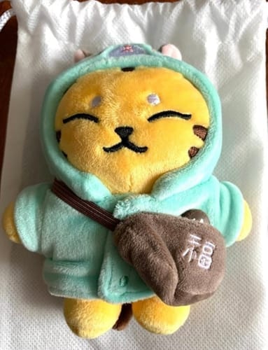 Customer photo review of [2ND PRE-ORDER] SEVENTEEN HOSHI - ARTIST MADE COLLECTION BY SEVENTEEN SEASON.2 OFFICIAL MD PLUSH KEYRING