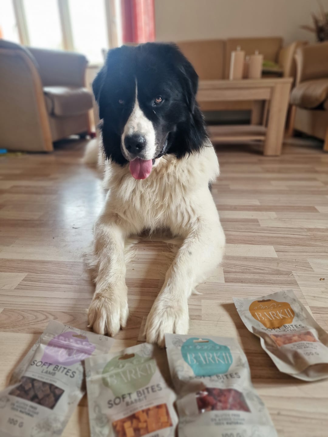 Customer photo review of Barkii - Smagspakken