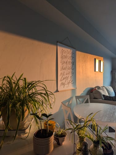 Customer photo review of Large Poster: Surely Goodness