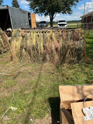 Customer photo review of Hunting Blind Raffia Grass (Pack)