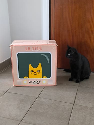 Avis photo d'un client sur Croquettes Chat Stérilisé Sans Céréales - Poulet