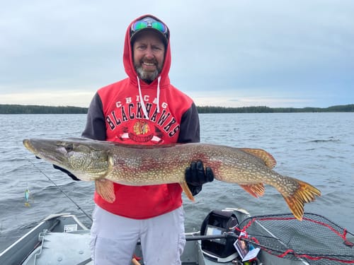 Customer photo review of Headbanger Cranky Shad 5"