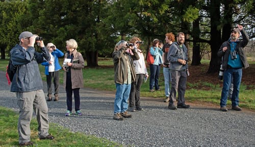 Customer photo review of 11x14 Photo Prints