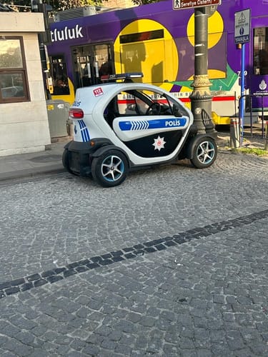 Customer photo review of Flea & Tick Spray with Neem Oil for Dogs & Cats