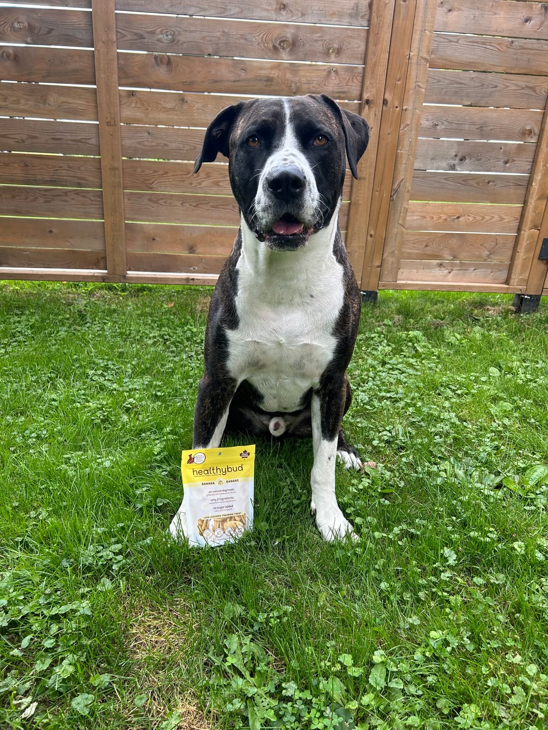 Customer photo review of Banana Chips