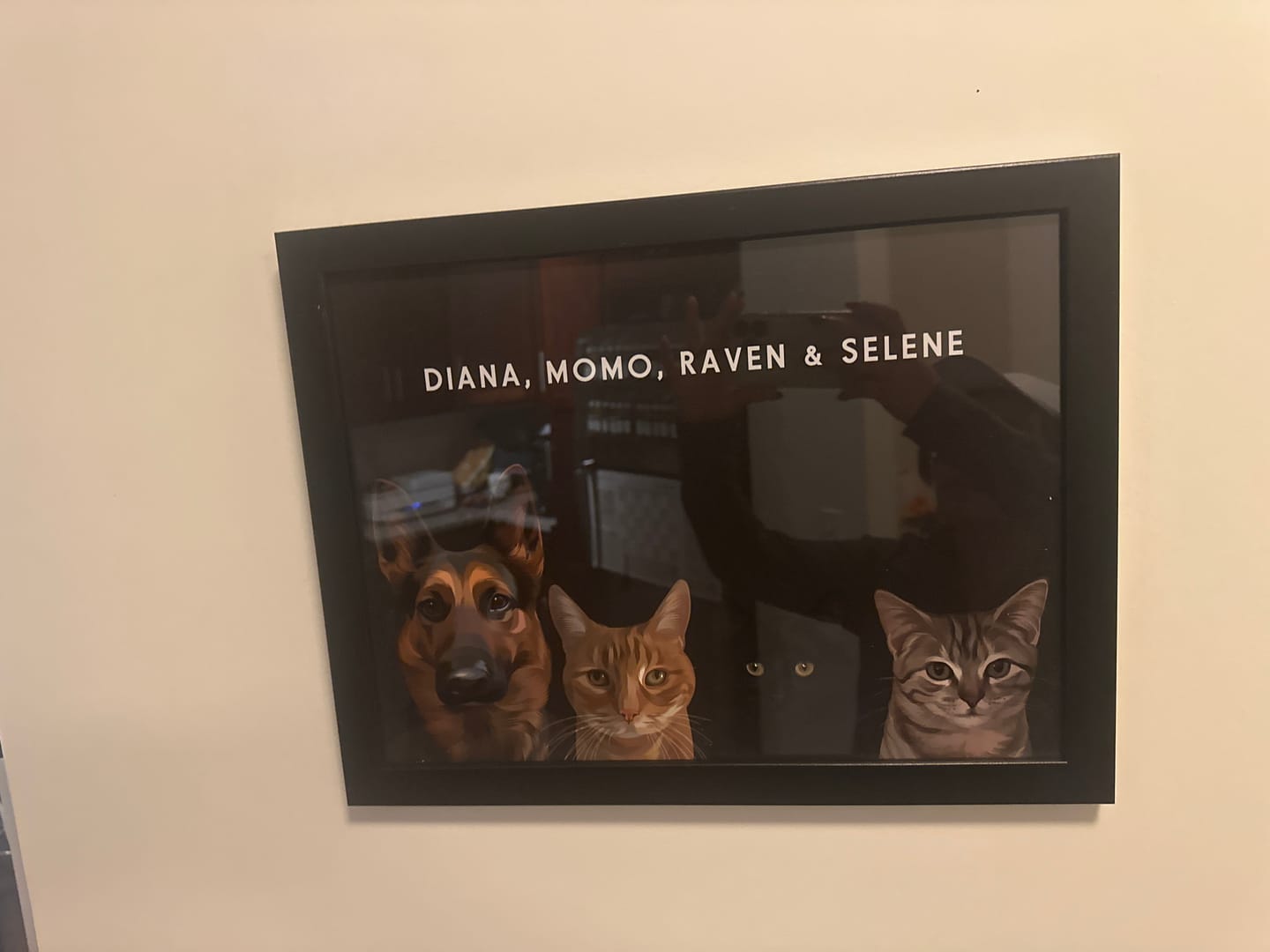 Customer photo review of Custom Four Pet Portrait