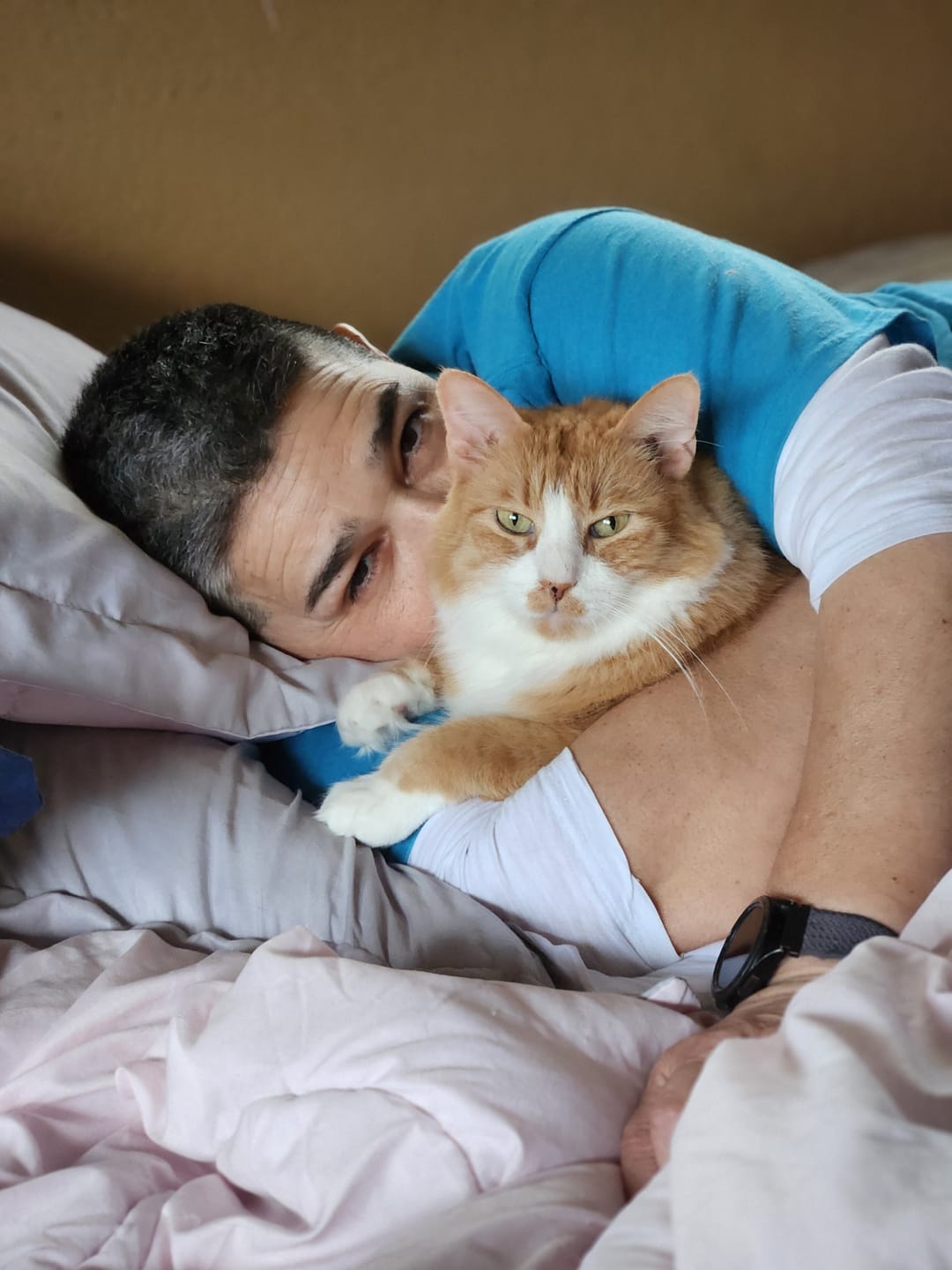 Customer photo review of Royal Canin Veterinary Diet - Urinary SO + Hydrolyzed Protein Dry Cat Food