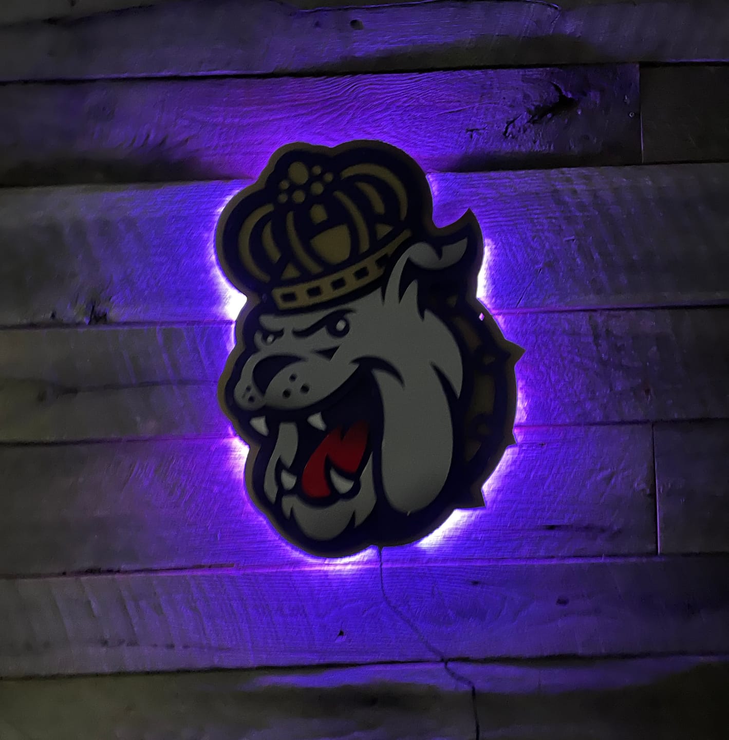 Customer photo review of James Madison Dukes Mascot 3D Metal Wall Art