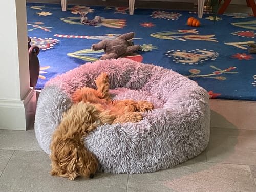 Customer photo review of CalmBed - Motverkar stress & hjälper mot ångest