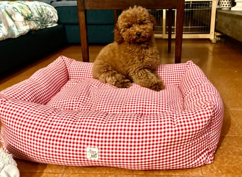 Customer photo review of Cover Divanetto Velluto