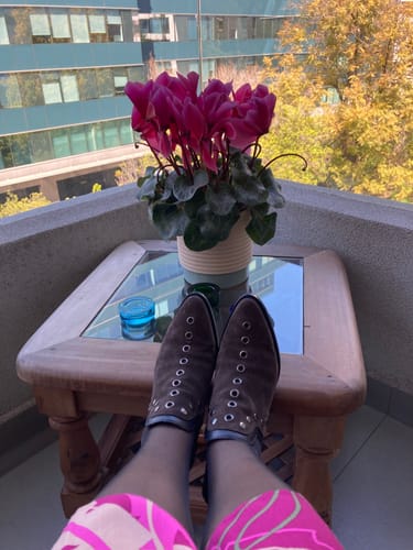 Customer photo review of BOTIN NEVADA IMAN 2582